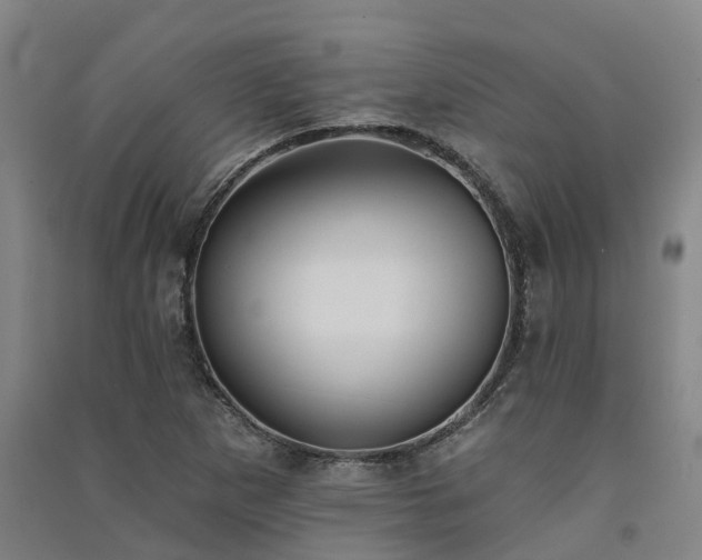 X0000091561265200708171318