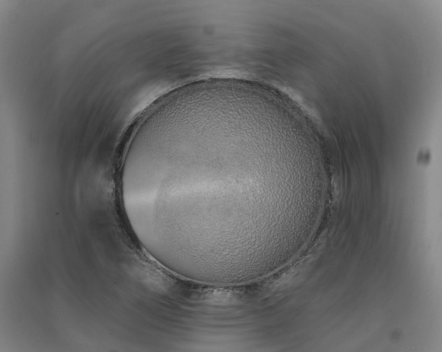 X0000091561266200708171318