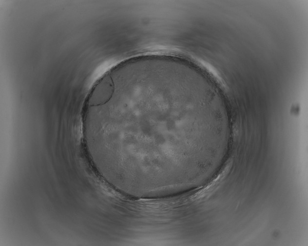 X0000091561267200708171318