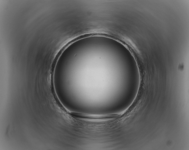 X0000091561268200708171318