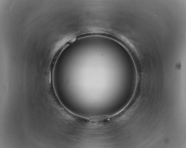 X0000091561269200708171318