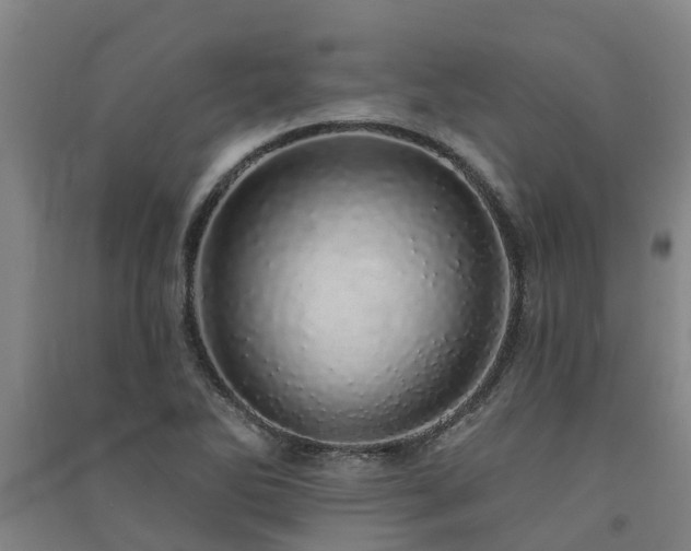 X0000091561270200708171318