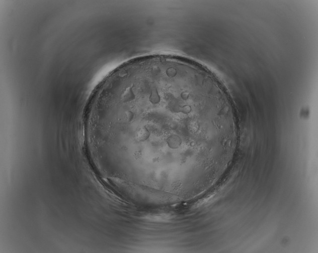 X0000091561271200708171318