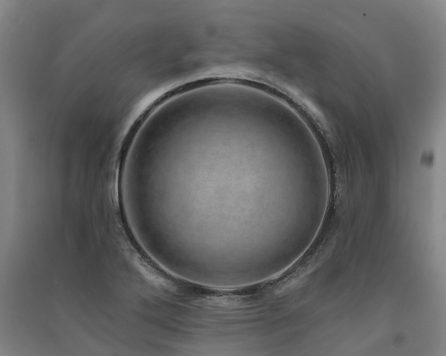 X0000091561272200708171318