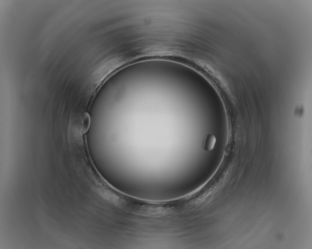 X0000091561273200708171318