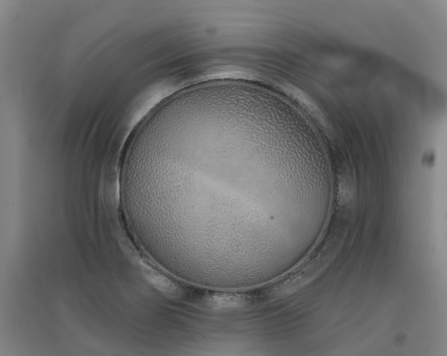 X0000091561274200708171318