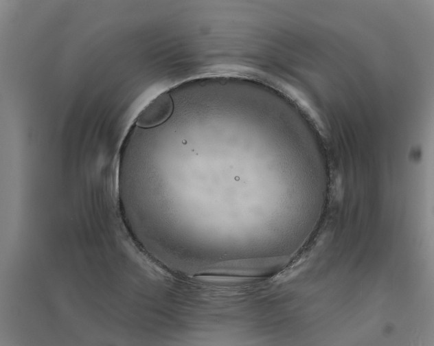 X0000091561275200708171318