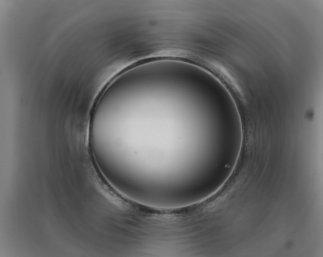 X0000091561276200708171318