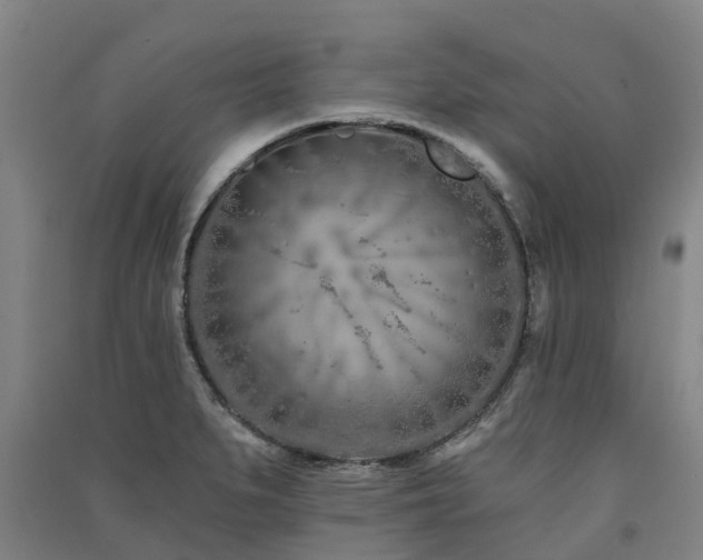 X0000091561279200708171318