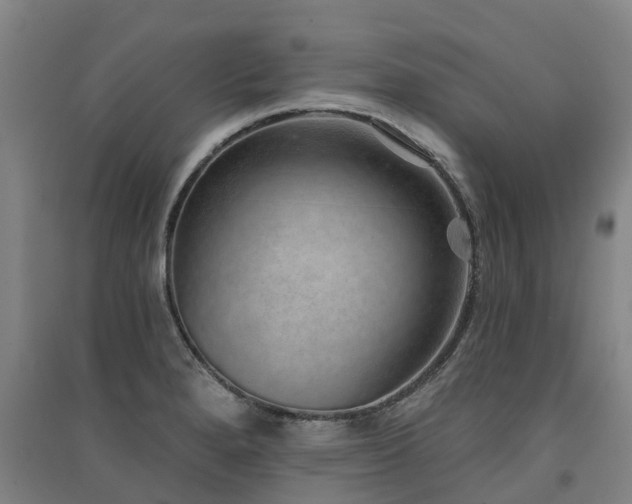 X0000091561280200708171318