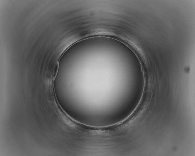 X0000091561281200708171318