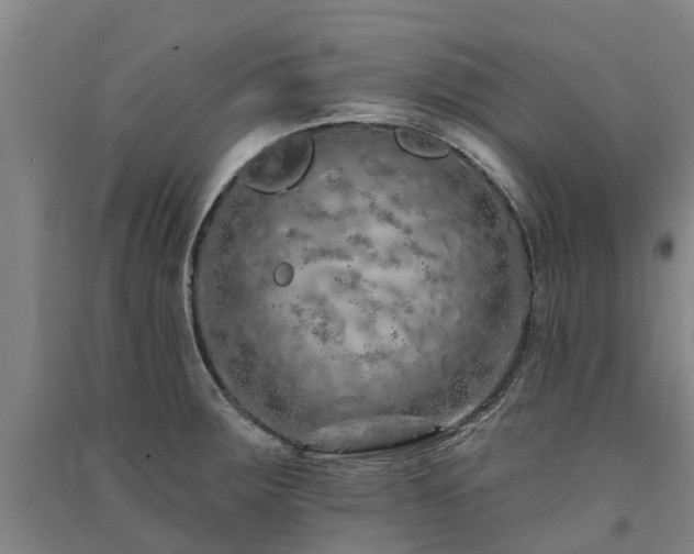 X0000091561283200708171318