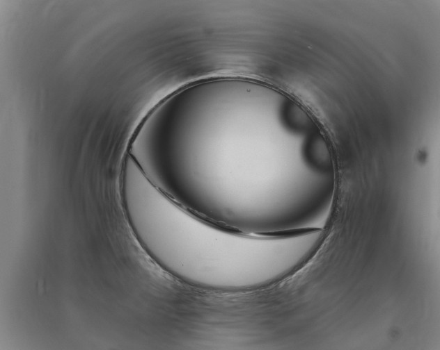 X0000091561284200708171318