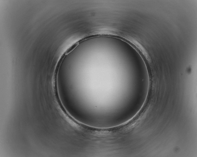 X0000091561285200708171318