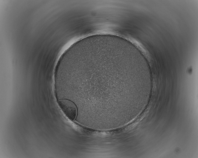 X0000091561286200708171318