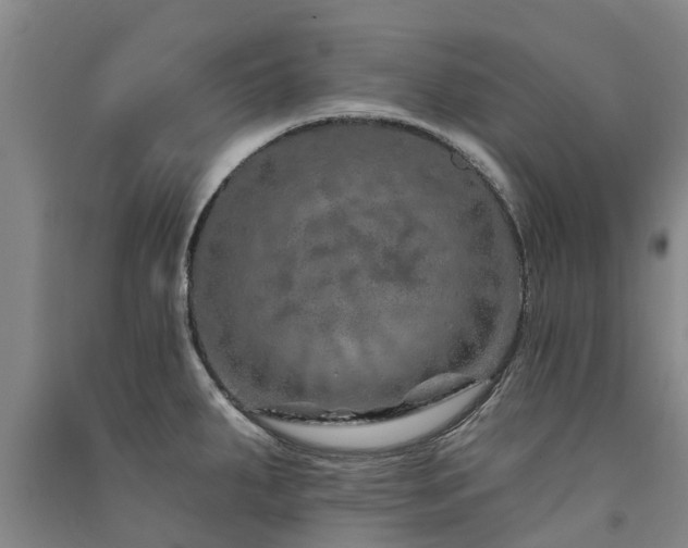 X0000091561287200708171318