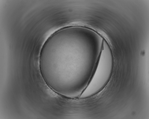 X0000091561288200708171318