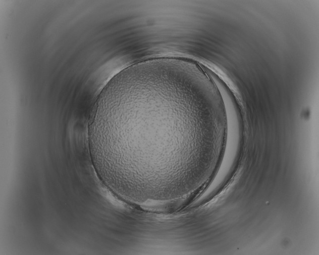 X0000091561289200708171318