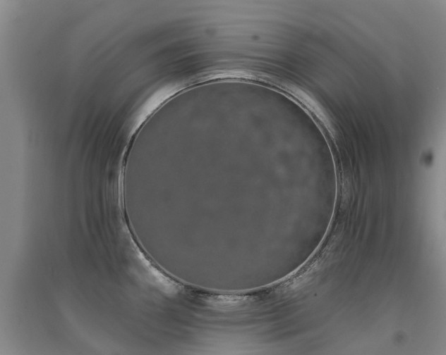 X0000091561290200708171318