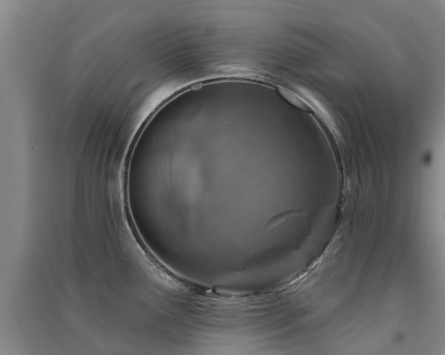 X0000091561291200708171318