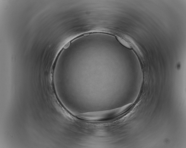 X0000091561292200708171318