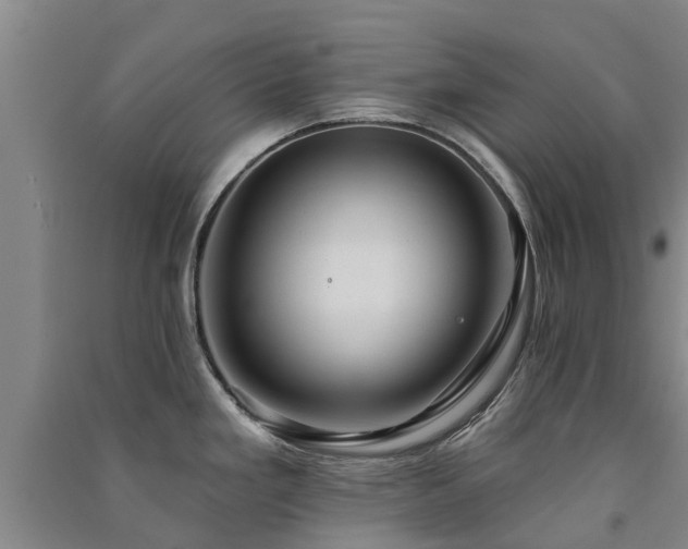 X0000091561293200708171318