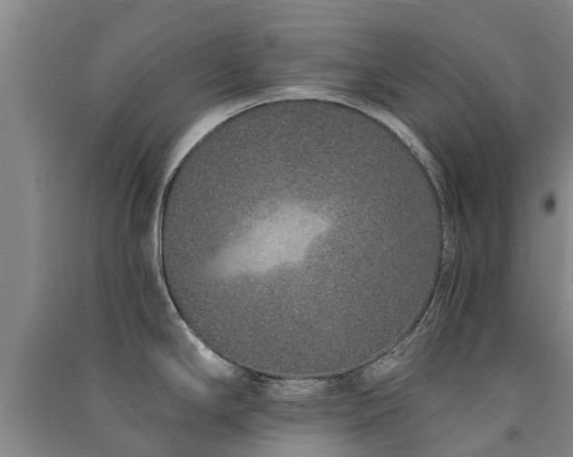 X0000091561294200708171318