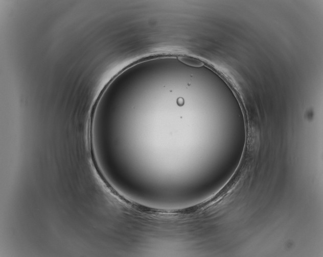 X0000091561295200708171318