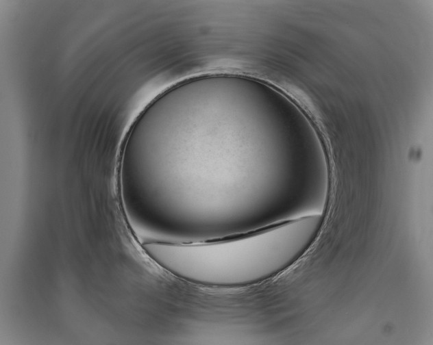 X0000091561296200708171318