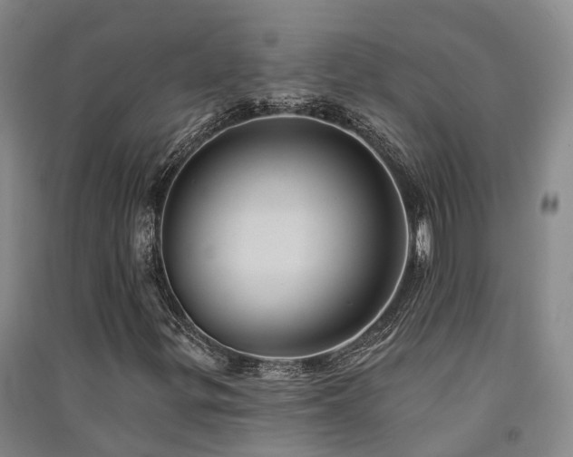 X0000091561299200708171317