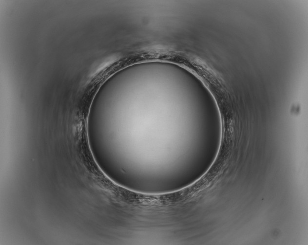 X0000091561302200708171317