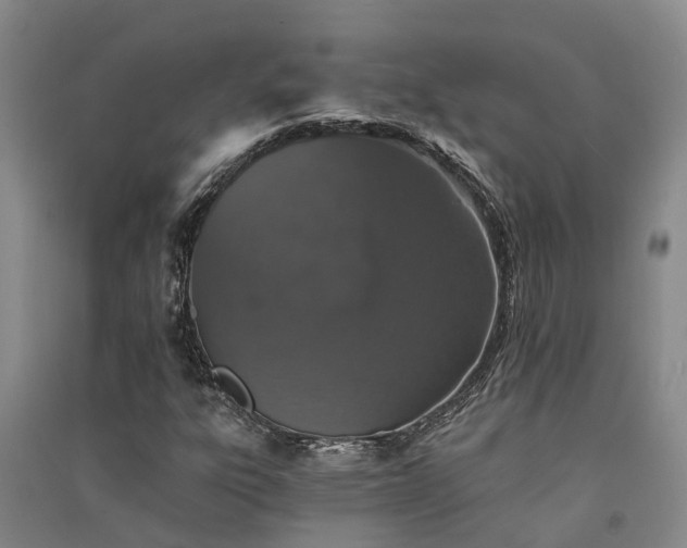 X0000091561303200708171317