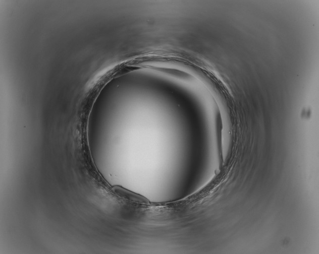 X0000091561304200708171317