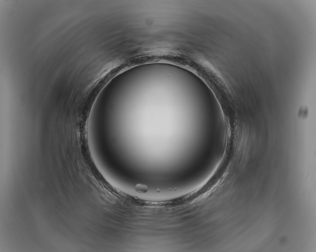 X0000091561305200708171317