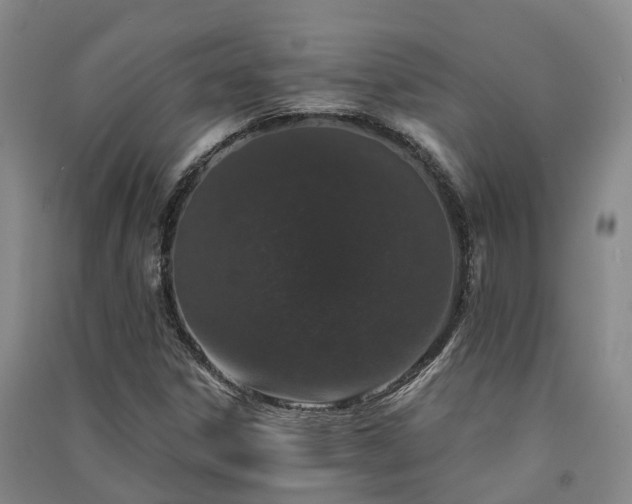 X0000091561306200708171317