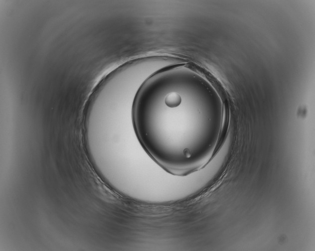 X0000091561308200708171317