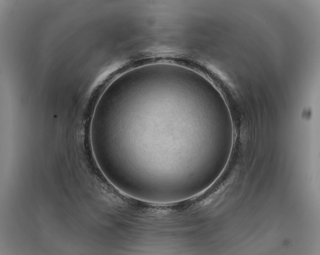 X0000091561309200708171317