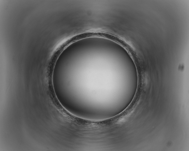 X0000091561311200708171317