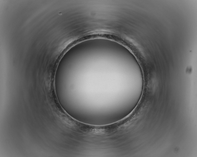 X0000091561313200708171317