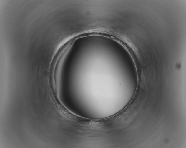 X0000091561316200708171317