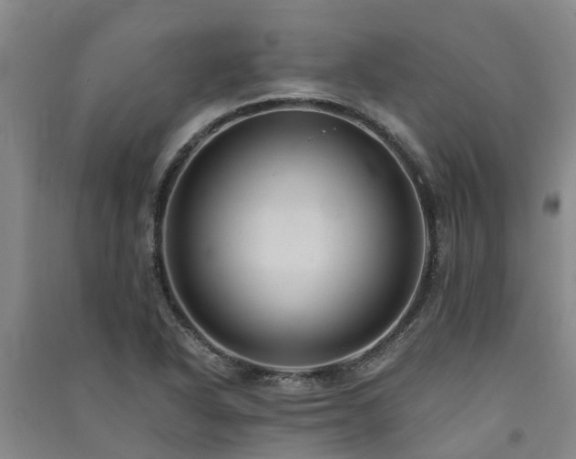 X0000091561318200708171317