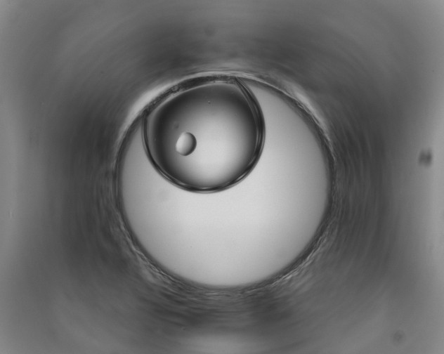 X0000091561320200708171317