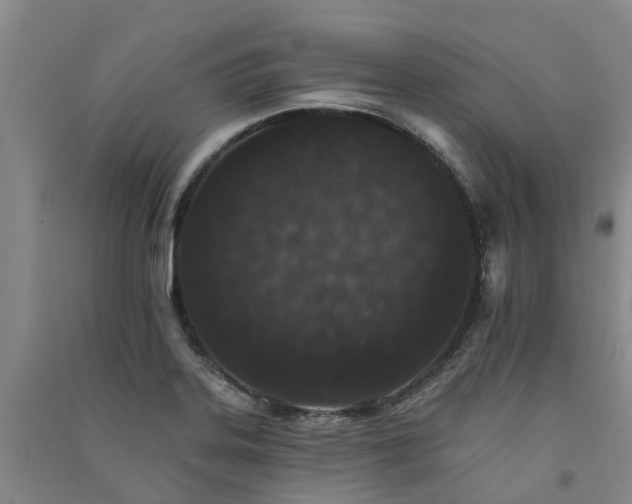 X0000091561323200708171318