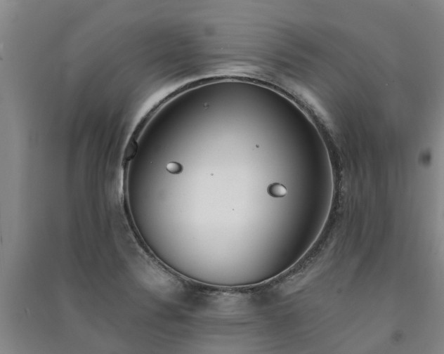 X0000091561324200708171318