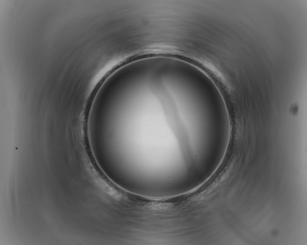 X0000091561325200708171318