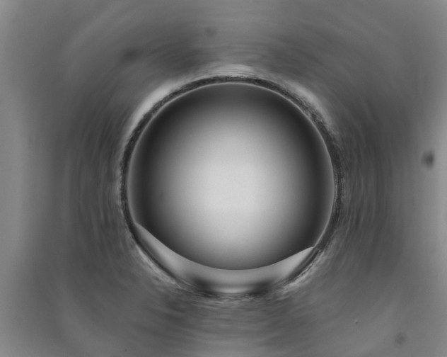 X0000091561326200708171318