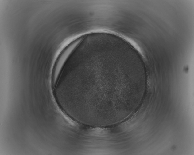 X0000091561327200708171318