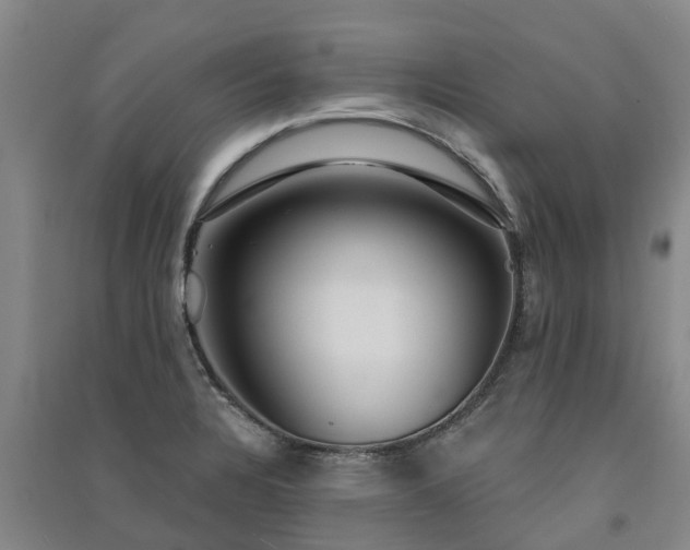 X0000091561328200708171318