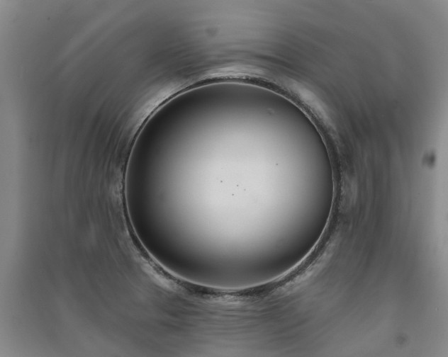 X0000091561329200708171318