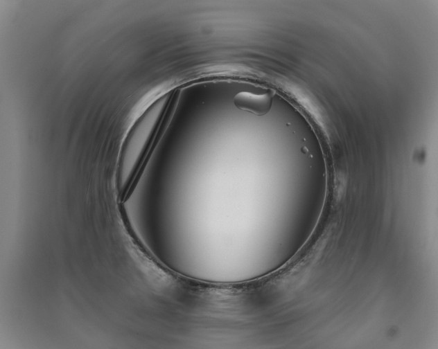 X0000091561330200708171318